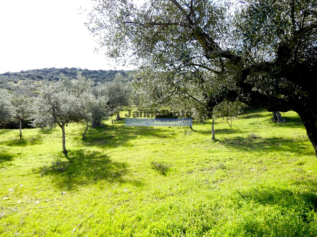 Agricultural land