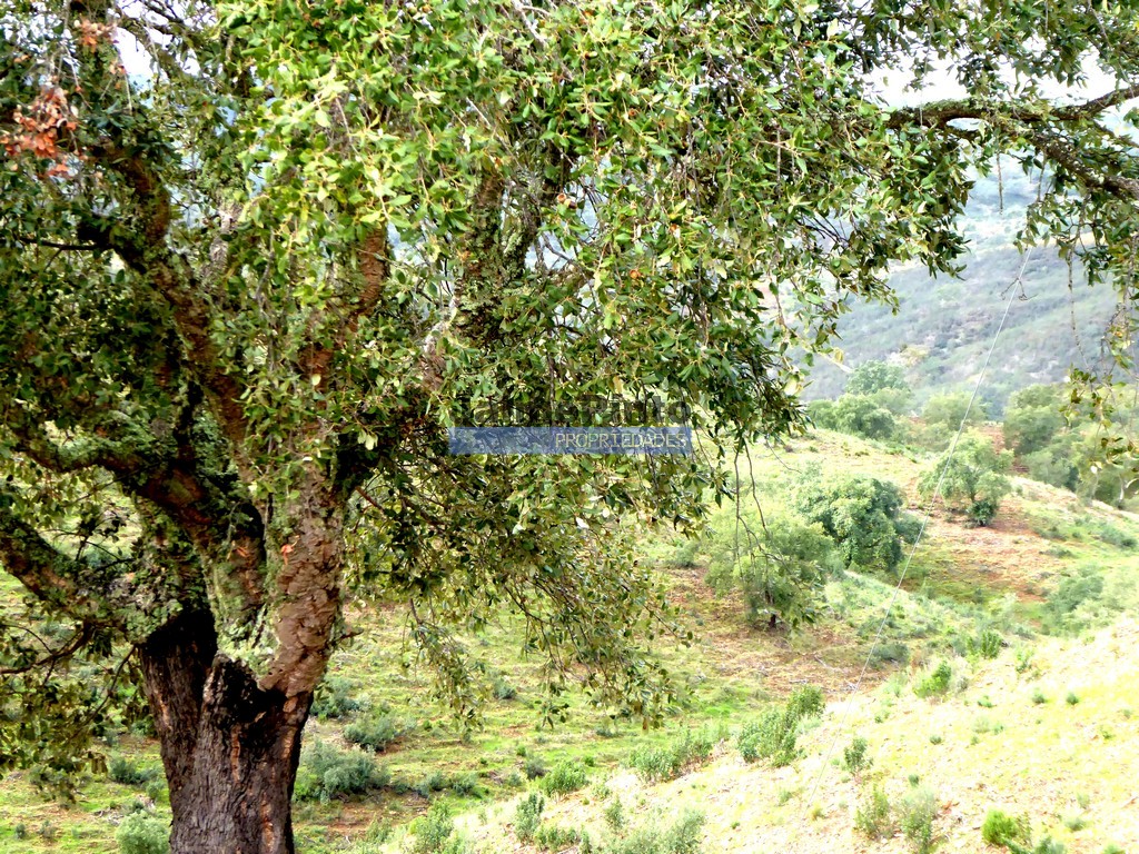 Farm