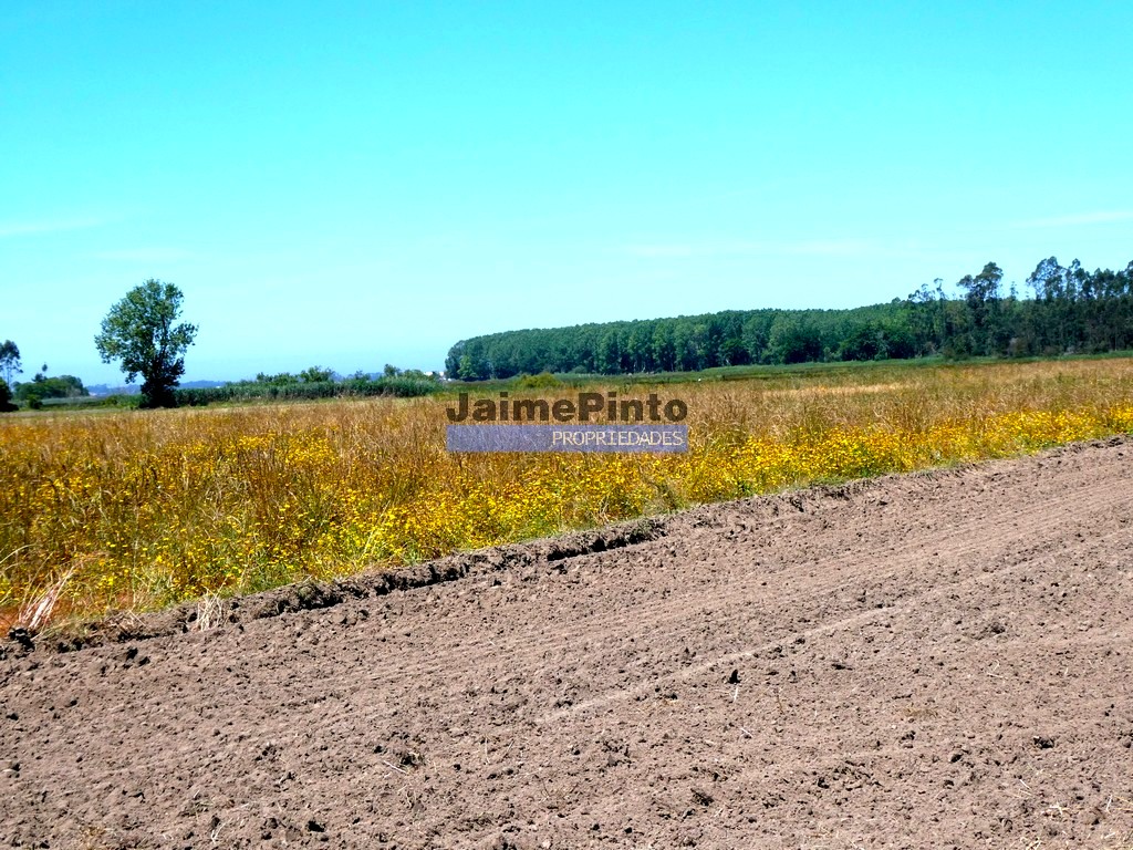 Land plot for house construction