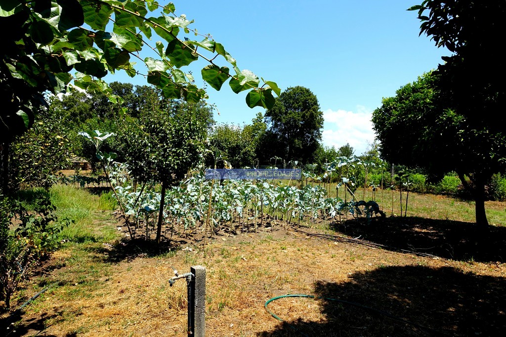 Small Farm