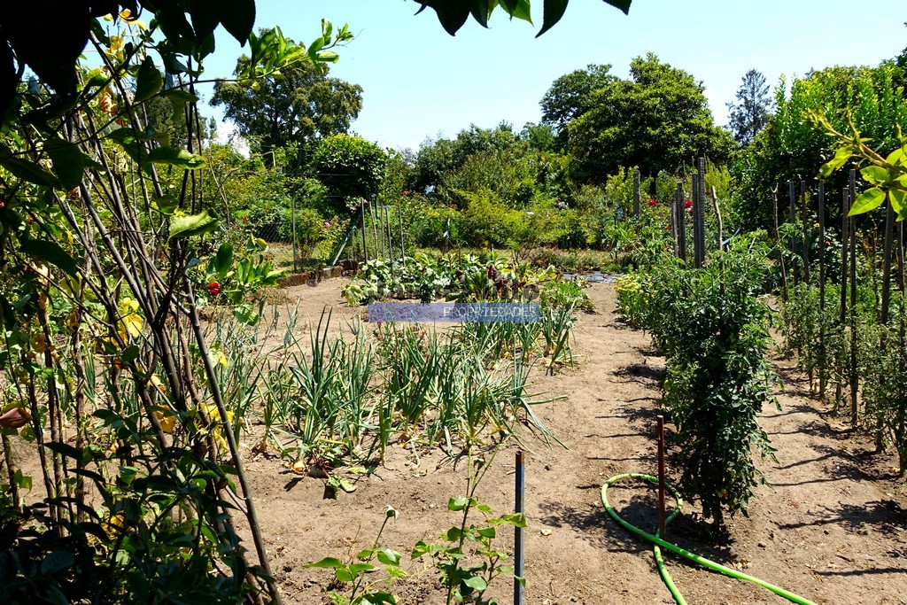 Small Farm