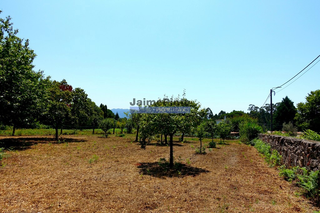 Small Farm