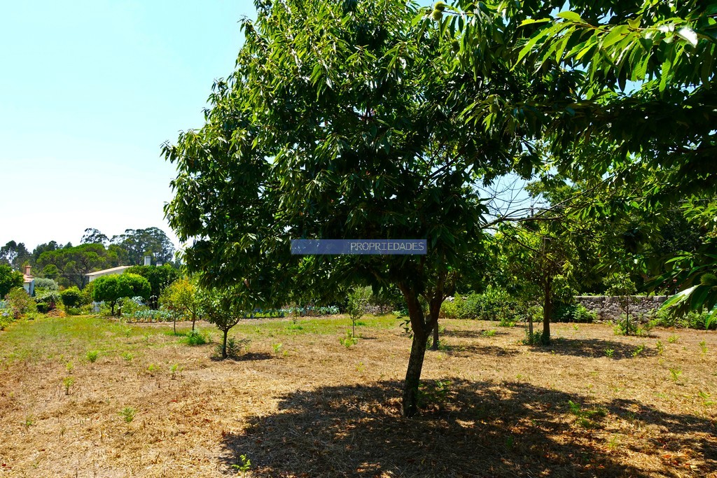 Small Farm